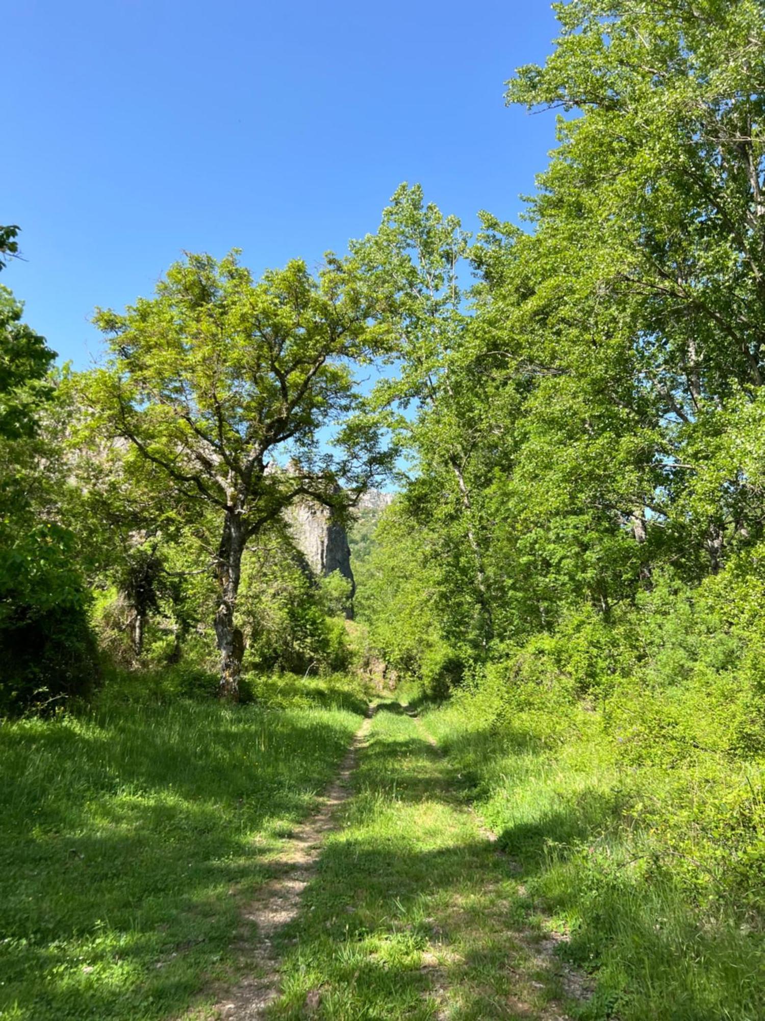 El Refugio I De Verdiago מראה חיצוני תמונה